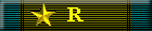 Renegade Wing Defense Ribbon-Single Cluster